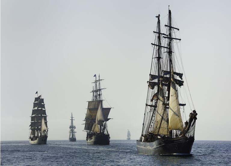 Armada of Tall Ships Sails at Morning