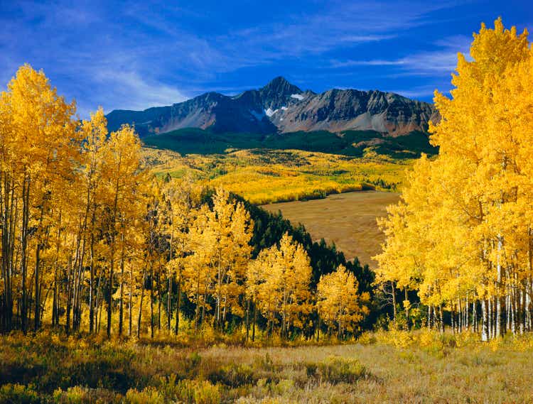 Mount Wilson With Autumn Aspen Trees