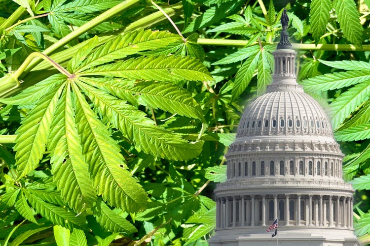 Weed Legalization and Congress