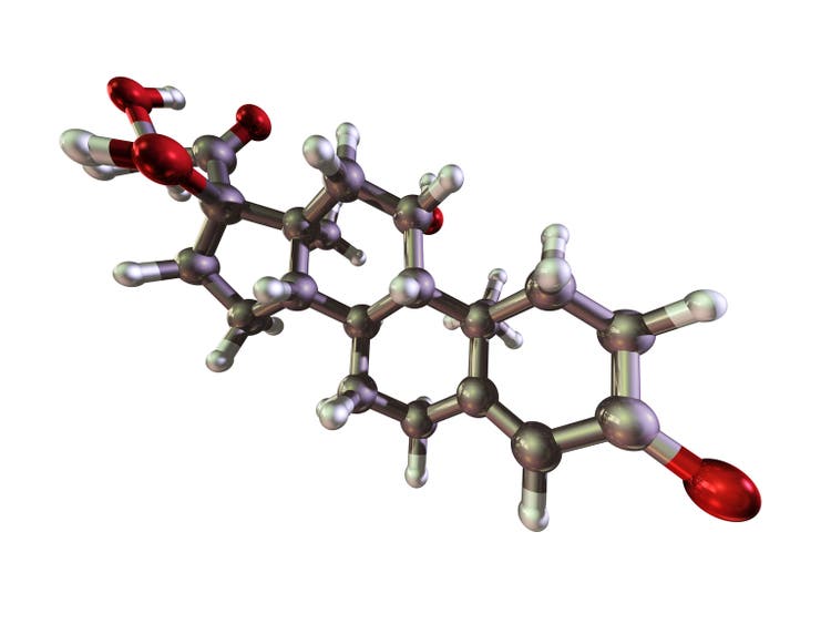Molecule of Hydrocortisone