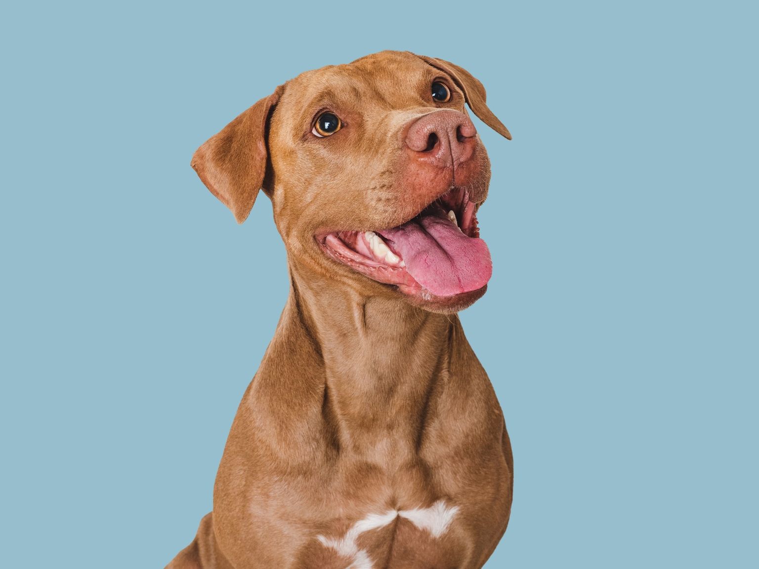 Datadog Stock: The Ultimate GARP Play (NASDAQ:DDOG) Datadog Stock: The Ultimate GARP Play (NASDAQ:DDOG)