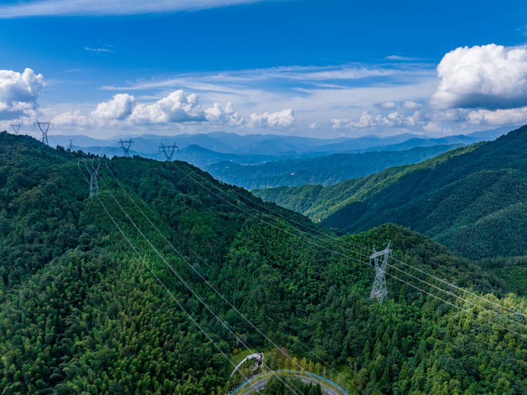 Power transmission tower in the forest
