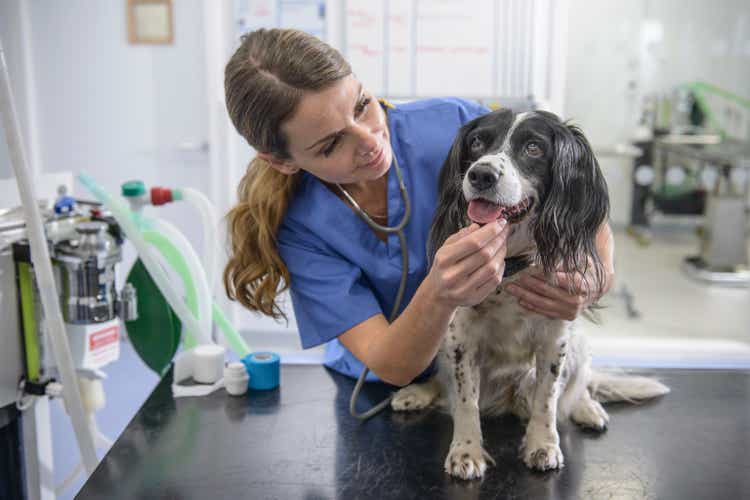 Portrait of veterinary nurse with dog on table in veterinary surgery