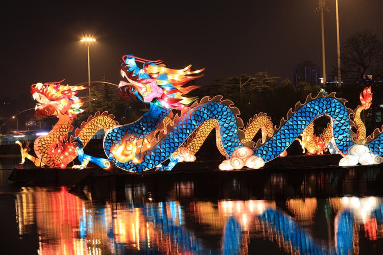 Chinese lantern dragon