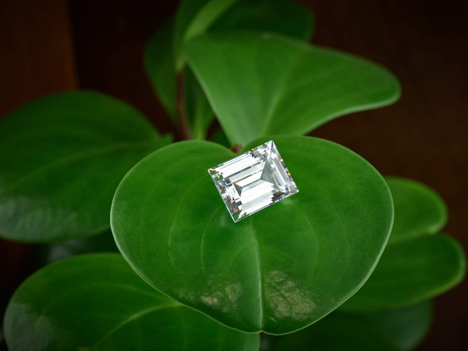 Luxe Winding Vine Engagement Ring, Secret Garden