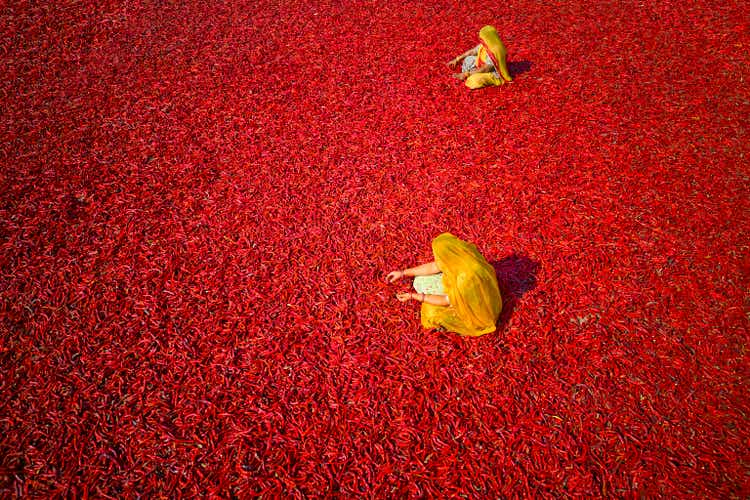 India, Rajasthan, chilli drying