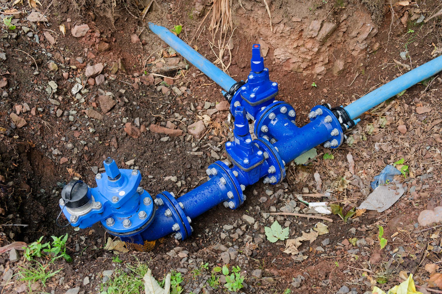 Xylem And Badger Meter - Priced To Perfection