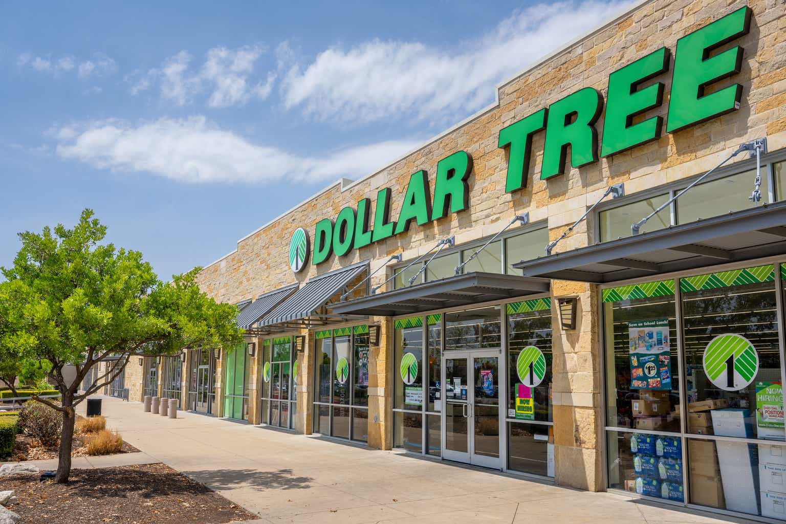 What to Buy at Dollar Tree: My 35 Frugal Favorites - Thrifty Frugal Mom