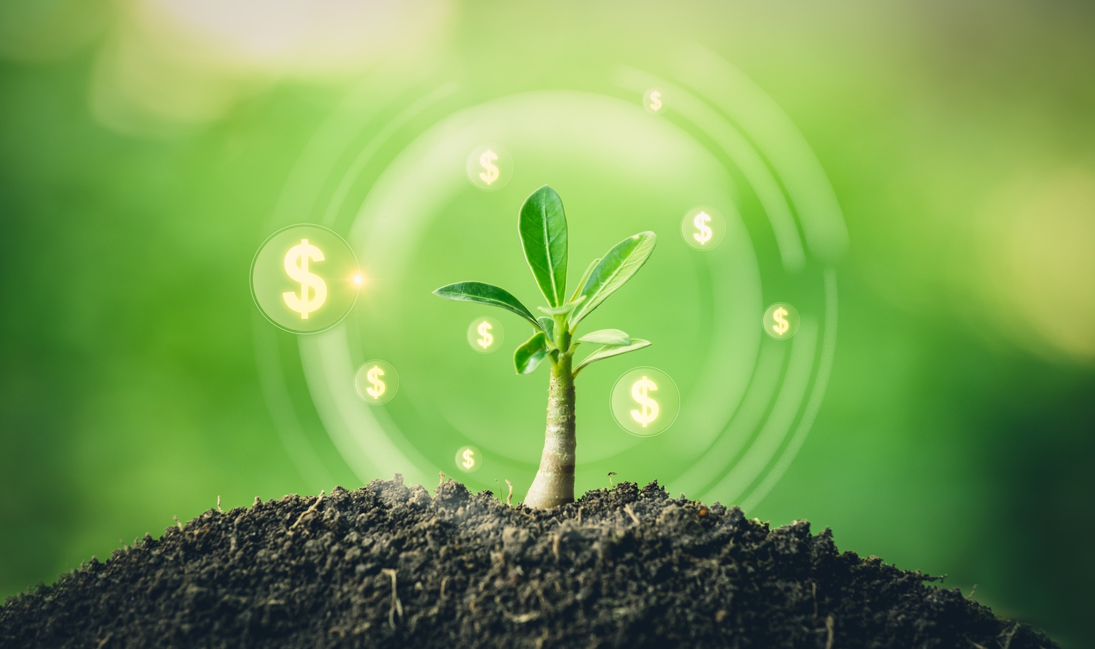 Franklin Small Cap Growth Fund Q3 2024 Commentary