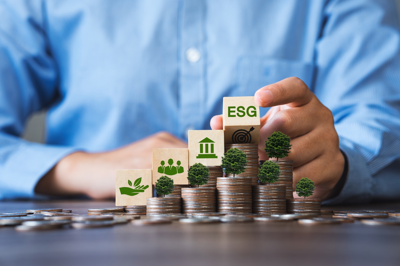 Northern U.S. Quality ESG Fund Q2 2025 Commentary