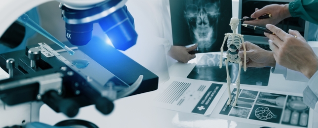 Doctor with human organ and Healthcare and medical service.