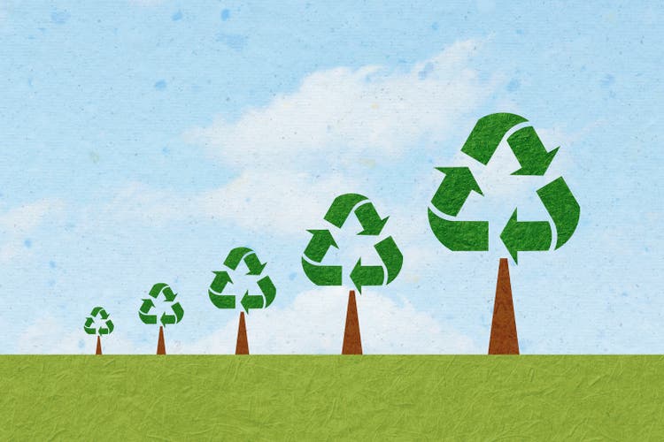 Growing trees made of recycling symbols