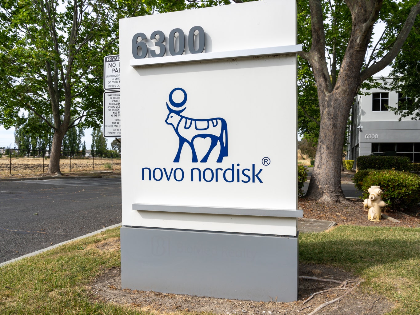 Novo Nordisk dethrones LVMH as Europe's corporate champion