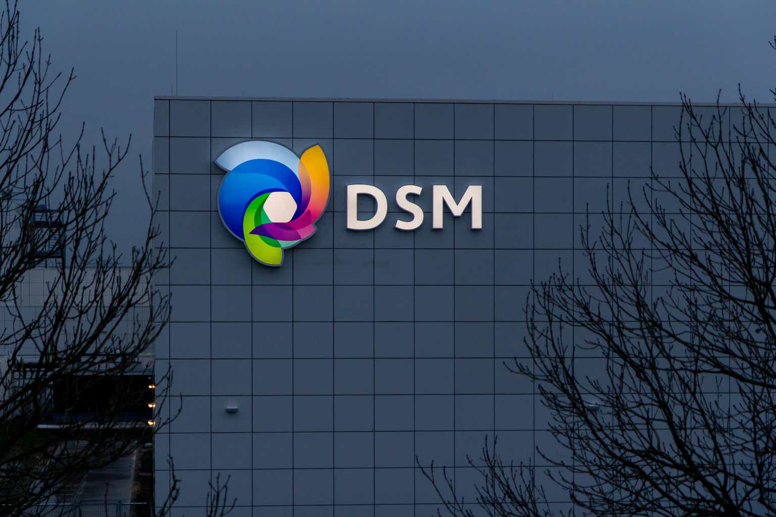 DSM-Firmenich: Making progress, still far from realizing its full potential