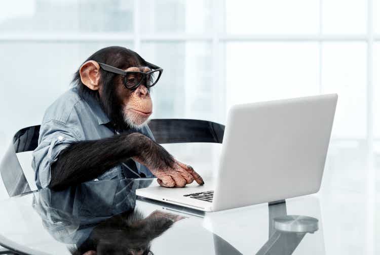 Male chimpanzee in business clothes