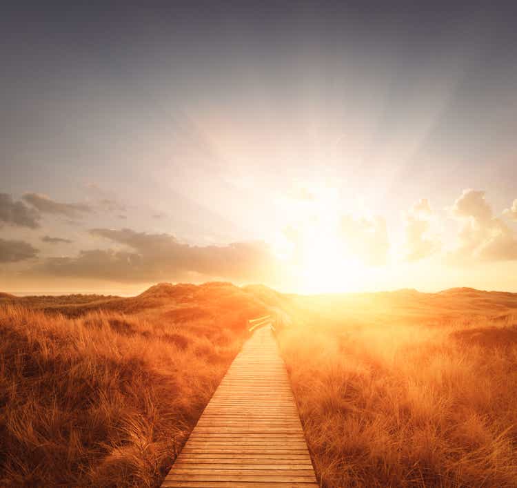 Boardwalk through the dunes