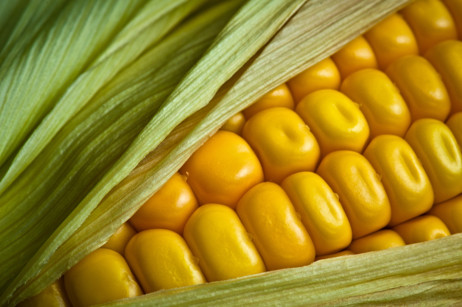 Hedging The Corn Cycle: Pairing The Andersons With Tyson Foods | Seeking  Alpha