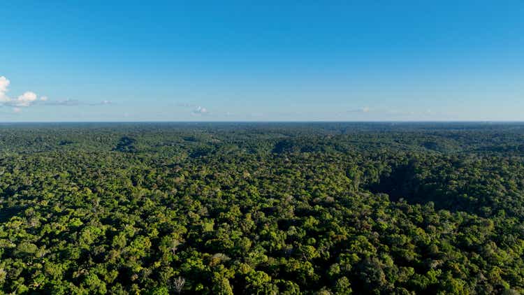 Stunning landscape of Amazon Forest at Amazonas State Brazil.