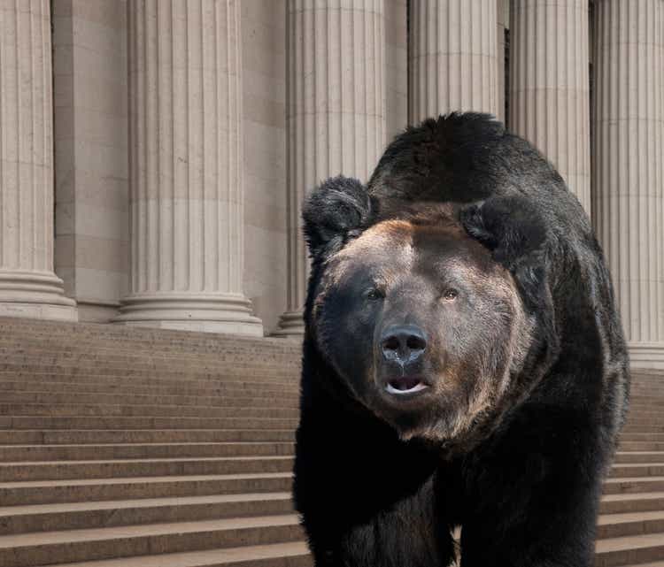 Bear walking on city street, New York, New York, United States