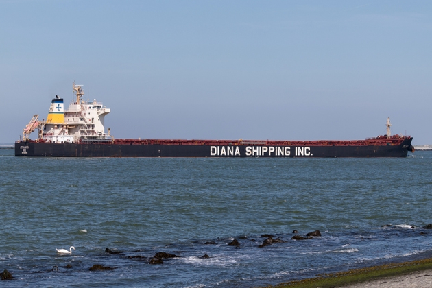 Diana Shipping bulk carrier 
