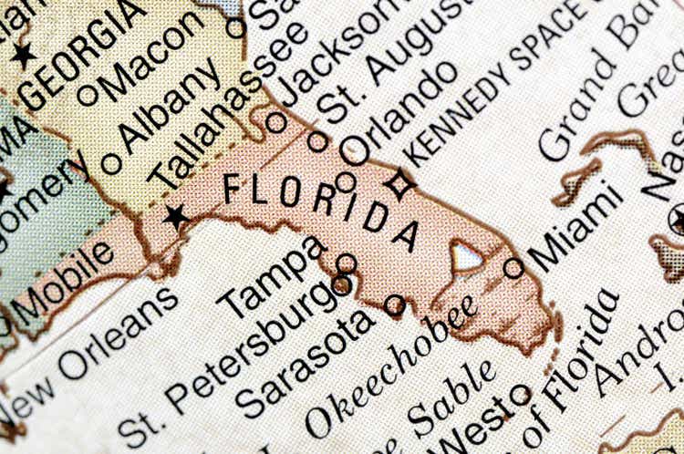 Close up of Florida on a papyrus map