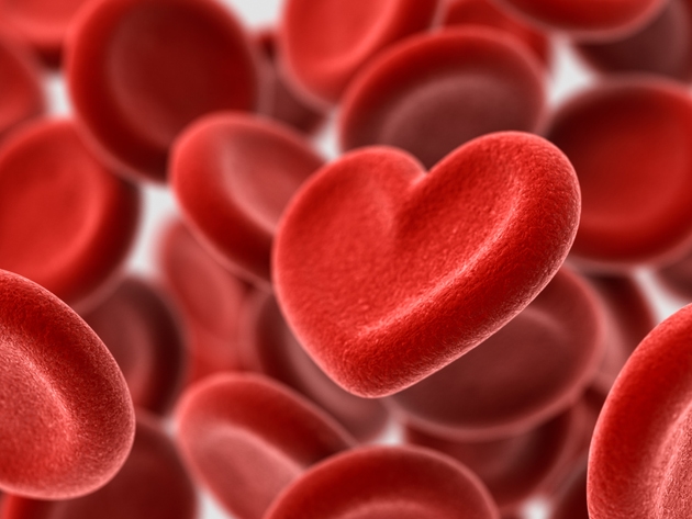 Concepto de donación de sangre
