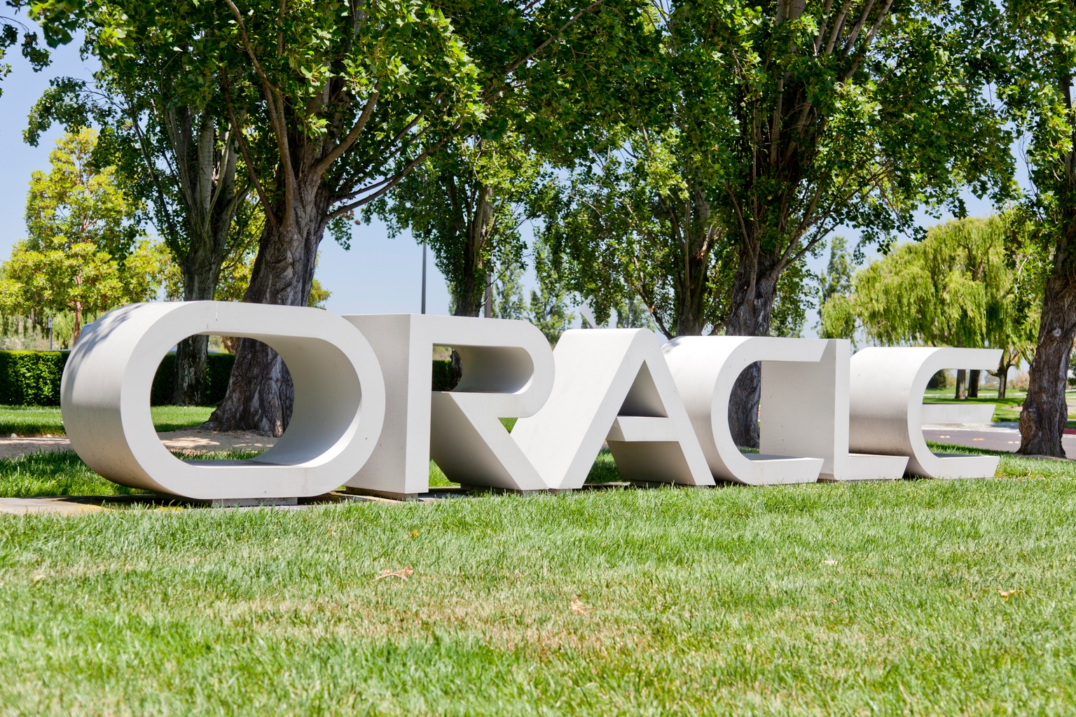 Oracle: Frankly, A Once In A Lifetime Opportunity