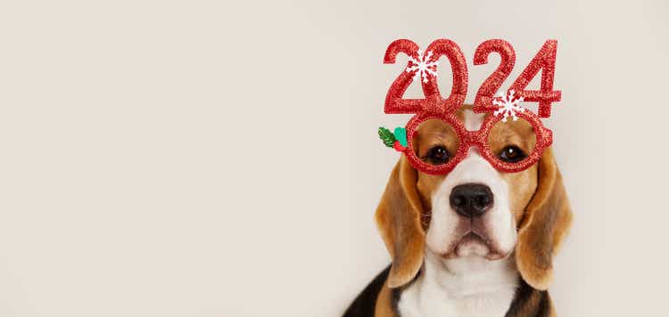 Happy New Year and Merry Christmas 2024 greeting banner or postcard. A beagle dog in carnival glasses with the numbers of the 2024 New year.