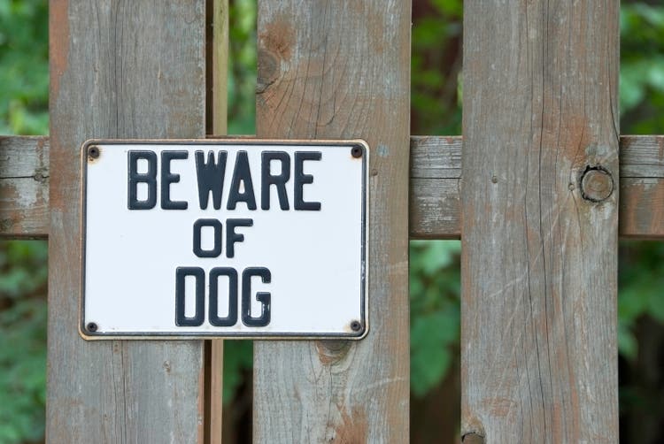 Beware Of Dog