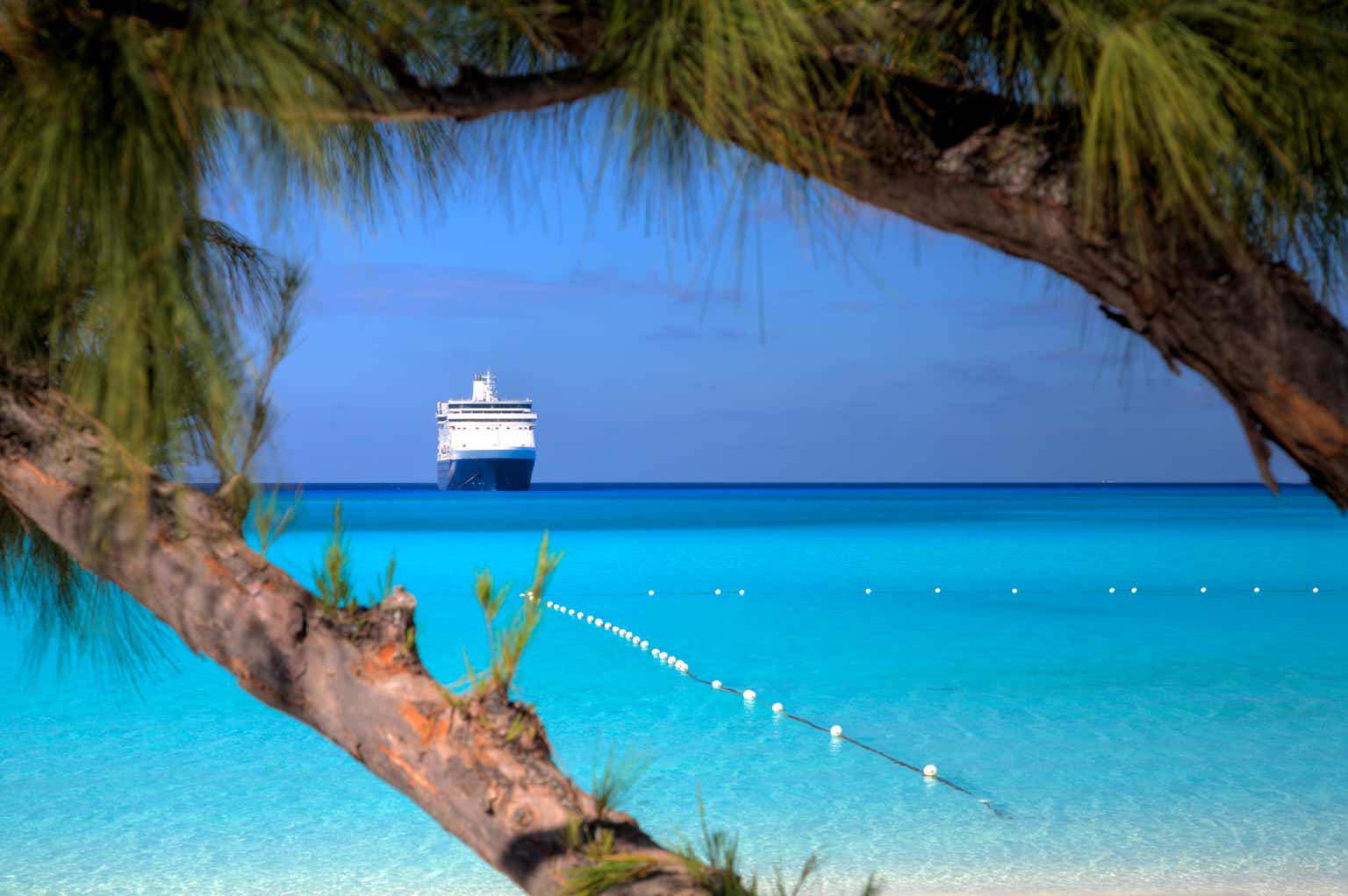 Norwegian Cruise Line Stock Forecast What To Watch For In 2022 (NYSE