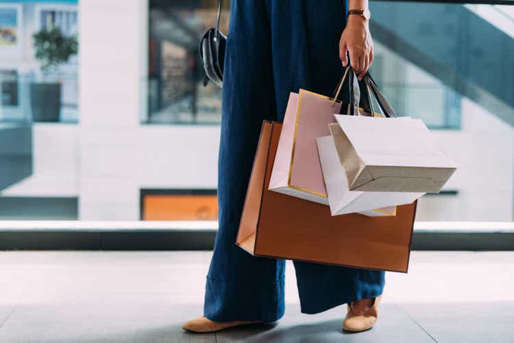 An Unrecognizable Beautiful Woman Holding Her Shopping Bags