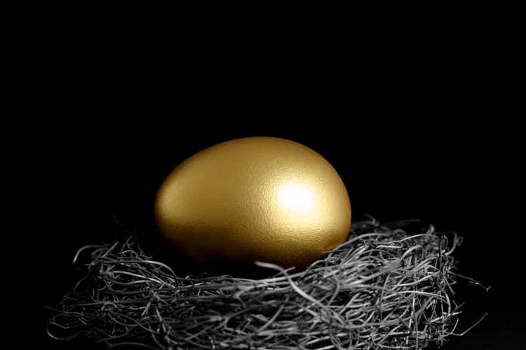 Golden Egg in a Nest on Black Background
