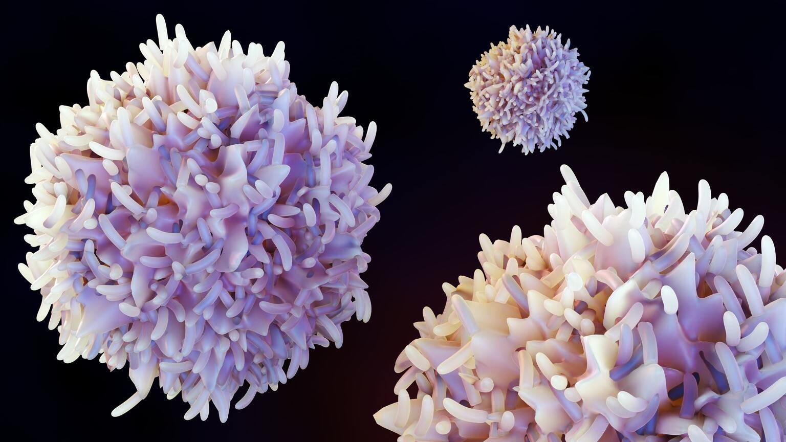 Artiva Biotherapeutics Inventory: Upcoming Information Displays In Focus (NASDAQ:ARTV) Artiva Biotherapeutics Inventory: Upcoming Information Displays In Focus (NASDAQ:ARTV)