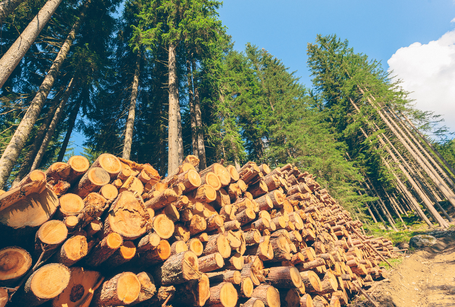 seekingalpha.com - Albert Anthony - Rayonier: After Recent Merger, The Bet Is On Synergies And Land Value Appreciation (RYN)