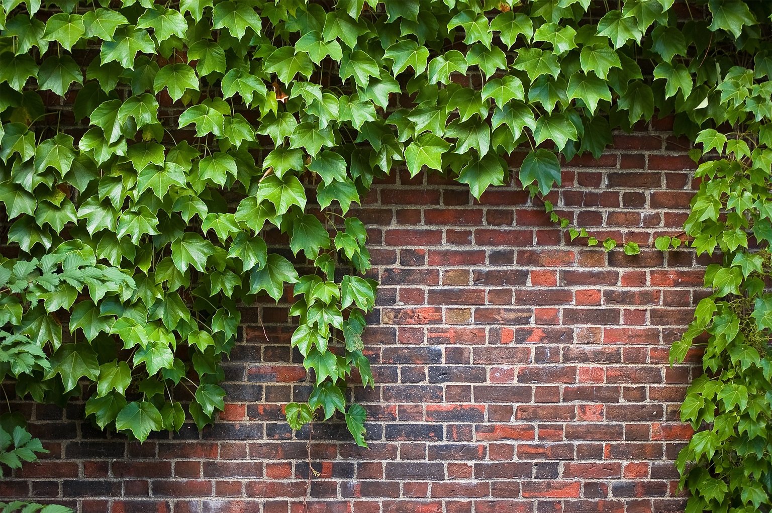 Green Brick Partners: Low Valuation, Strategic Advantages, Long-Term Growth (GRBK)