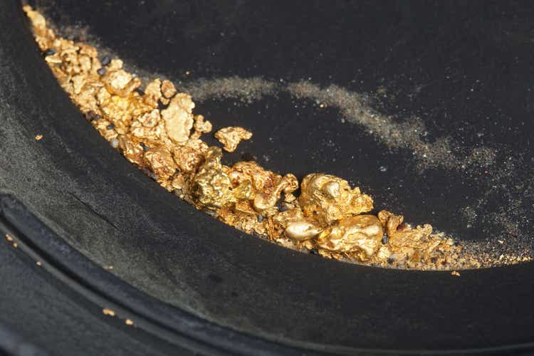 Gold Nuggets and Flakes in Pan