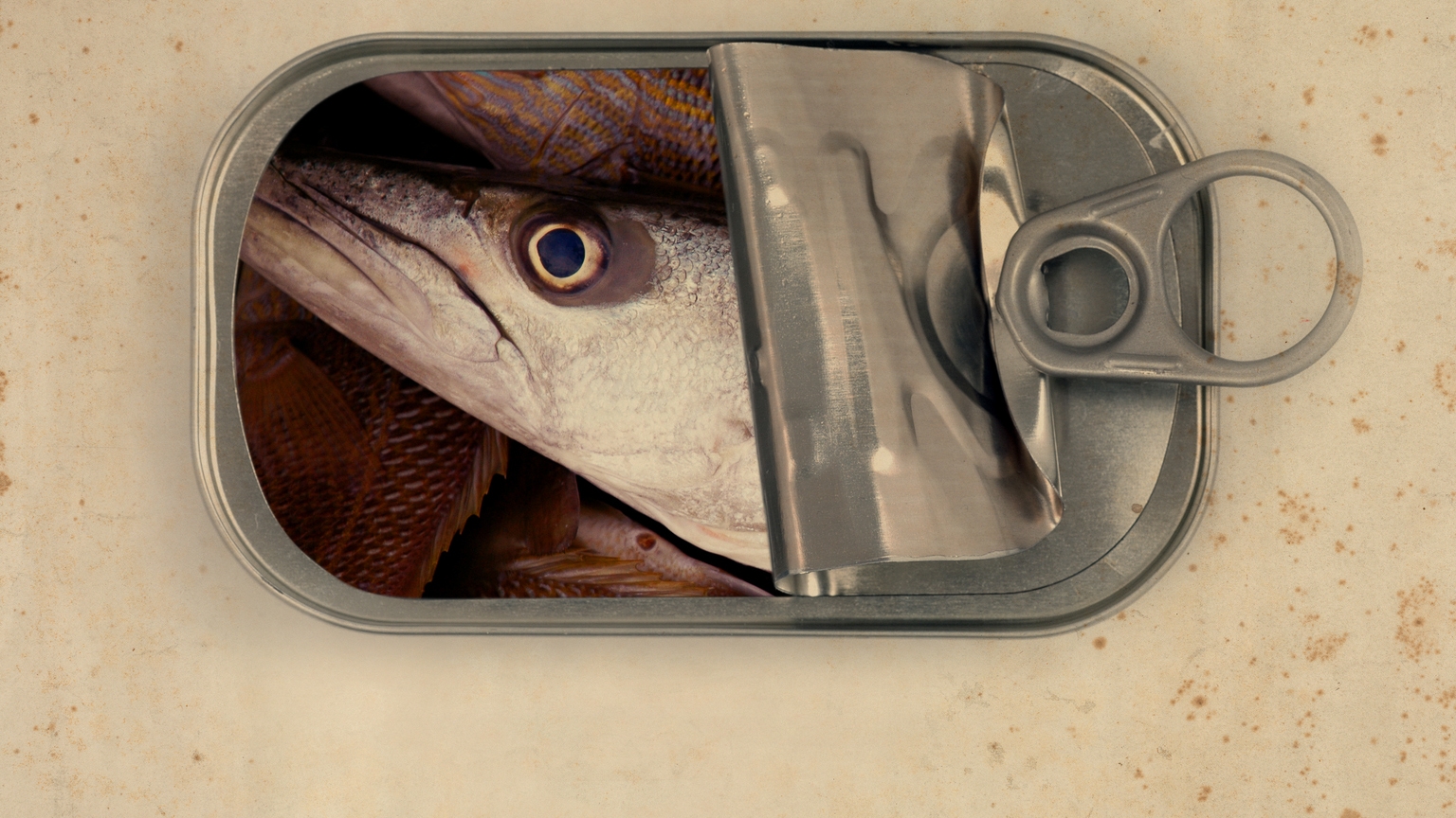 Cryptocurrencies: Monetary Alternative Or Mass Delusion? (Cryptocurrency:BTC-USD)  | Seeking Alpha