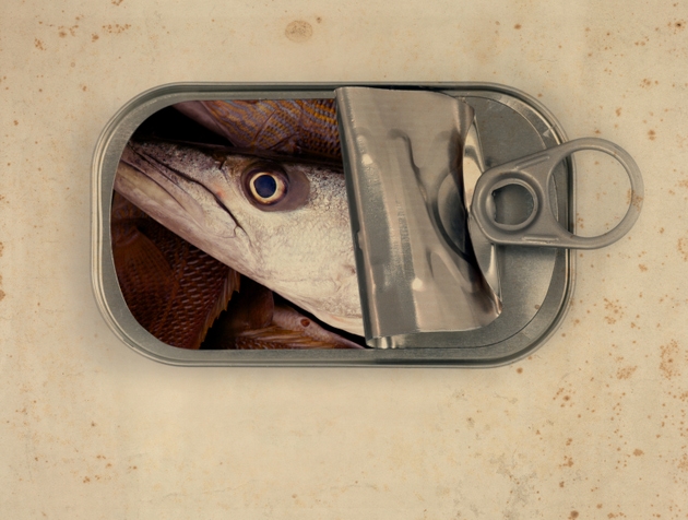 Cryptocurrencies: Monetary Alternative Or Mass Delusion?