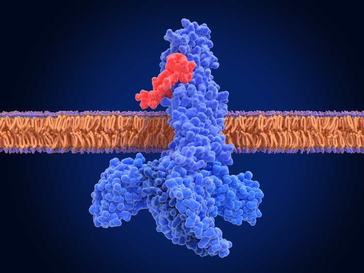 The glucagon like peptide-1 ( GLP-1) receptor , activated complex with an agonist (semaglutide) and G-proteins