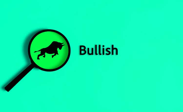 Bullish text on green background, Bull market investment chance