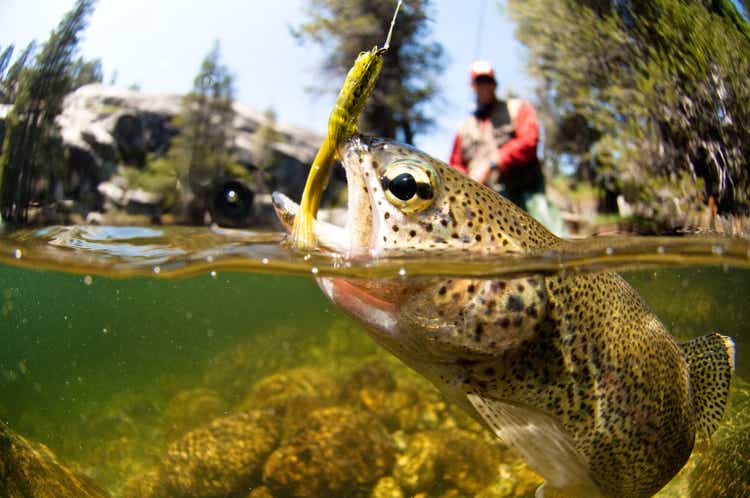 Fly Fishing