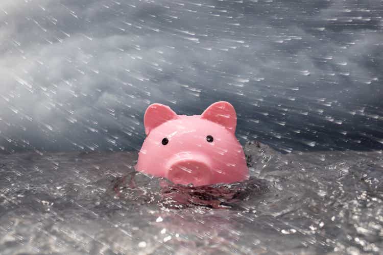 Piggy bank in the flood