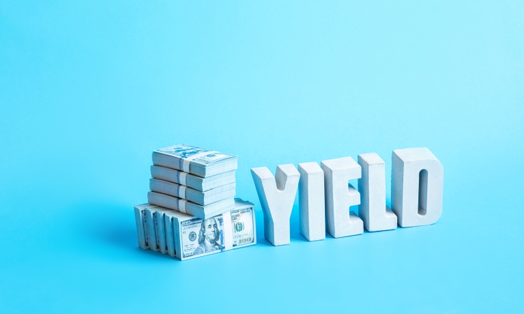 PLTY: Income And Tactical Positioning On Palantir's Earnings