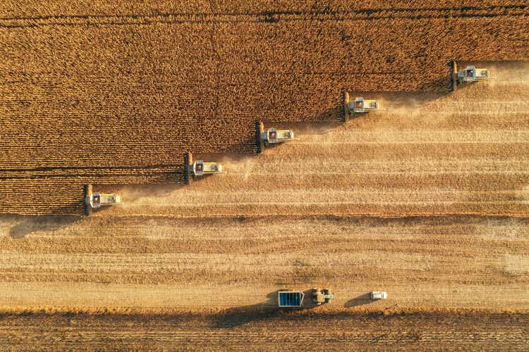 Harvesting In Agriculture Crop Field.