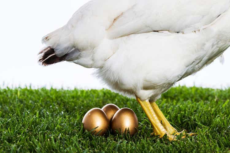 Hen laying golden eggs