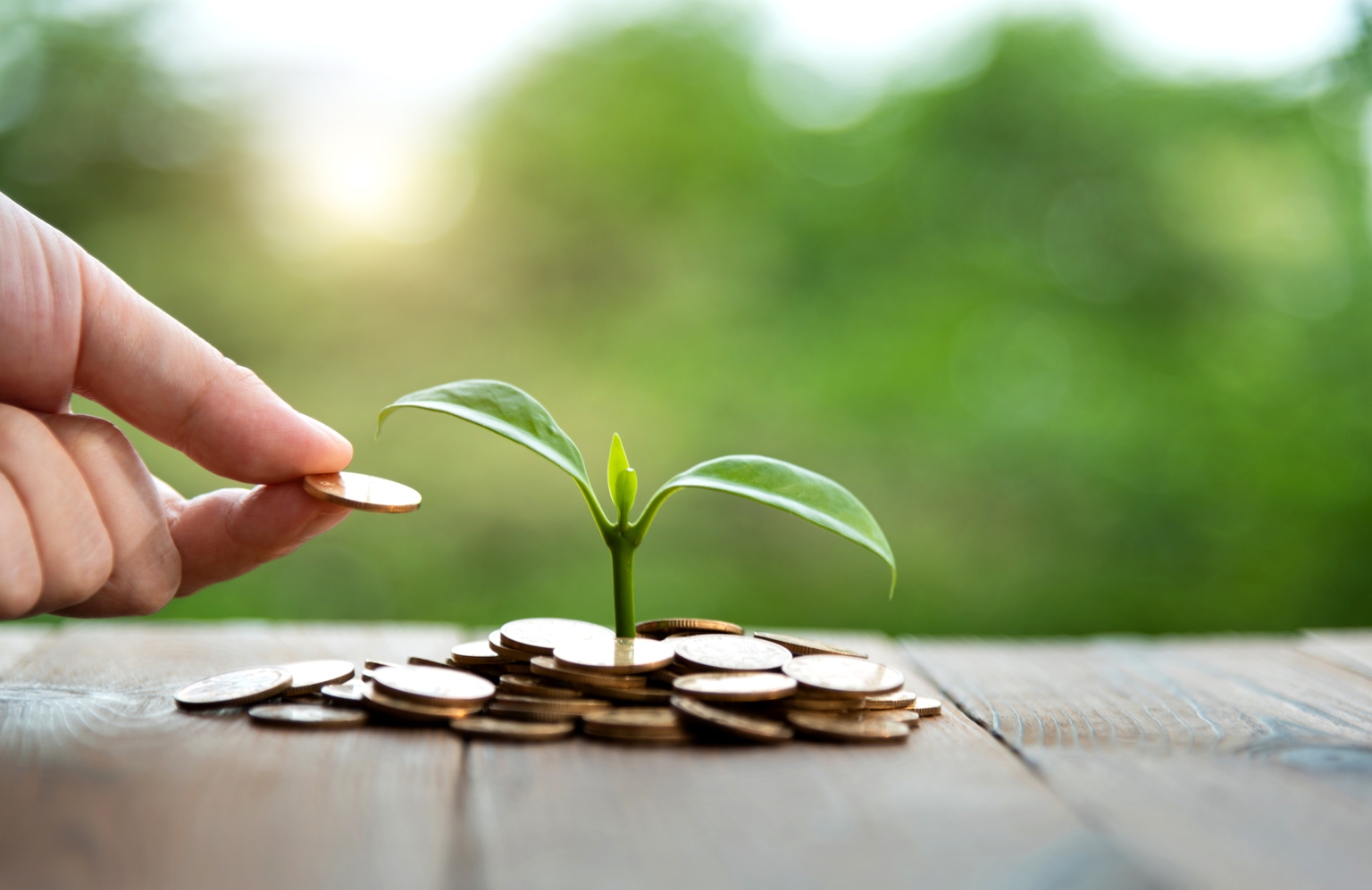 Franklin Small Cap Growth Fund Q4 2024 Commentary