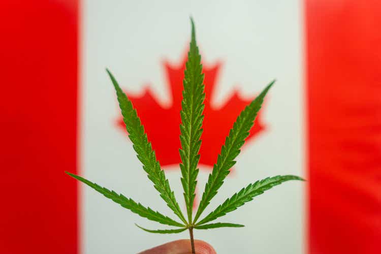 hemp leaf on background of the canadian flag. Concept of legalization and changes in legislation regarding cultivation and use of marijuana in the country canada