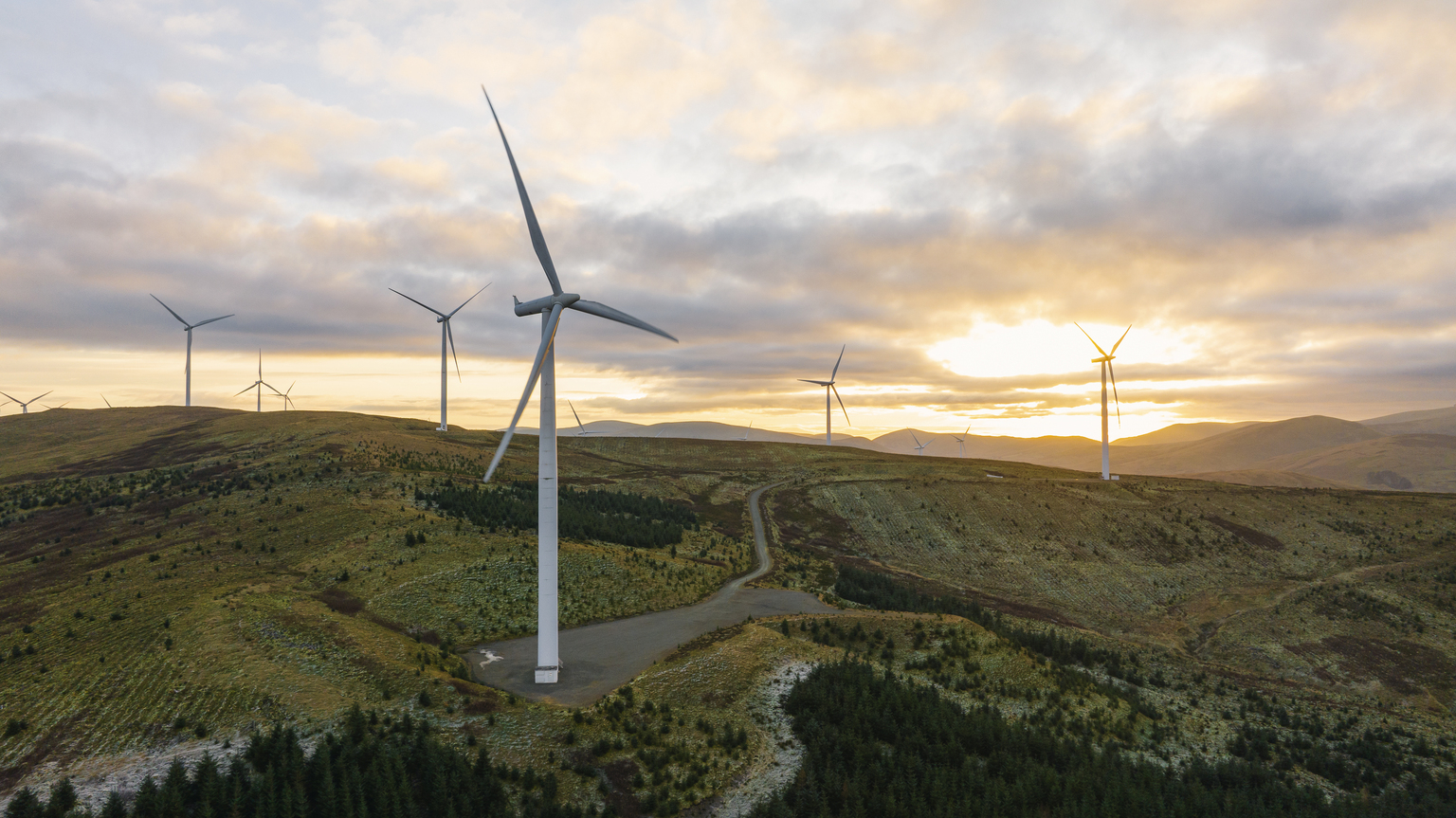 ビジネス・経済 RENEWABLE ENERGY FINANCE ビジネス・経済 RENEWABLE ENERGY FINANCE Renewable Energy