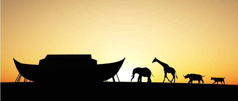 Silhouette of Noahs Ark with animals at sunset