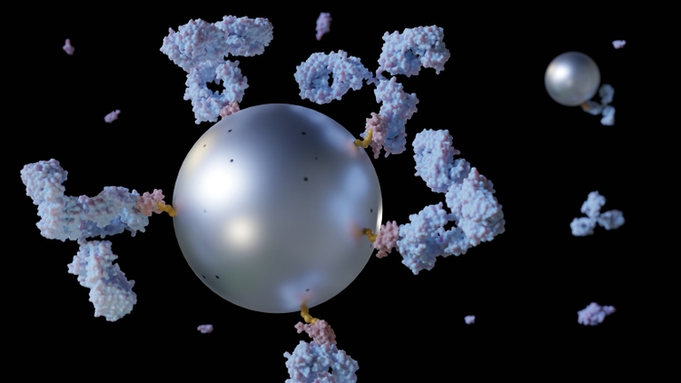 Close up antibody-conjugated magnetic nanoparticles